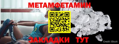 прущие грибы Славгород