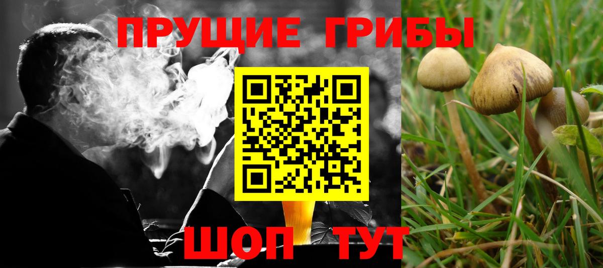 Похвистнево  Псилоцибиновые грибы прущие грибы  Галлюциногенные грибы мухоморы  Вход с VPN 